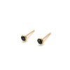 Black Spinel | Rose Cut & Gold Earrings