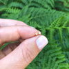 Gold Stud Earrings