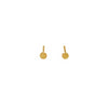 Gold Stud Earrings